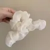 Mostre Volume de Cabelo ~ Novo Prendedor de Cabelo de Rede Super Fada para Mulheres na Parte de Trás da Cabeça, Prendedor de Cabelo Elegante, Prendedor de Tubarão Grande, High-End