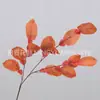 13 Peças de Decoração de Fundo com Folhas de Pomelo Arranjo Floral Arranjo de Flores Flores Artificiais Fabricante Atacado Flores Artificiais Decoração de Casamento