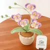 Produto Novo Acabado Transfronteiriço Crochê à Mão 5 Cabeças Phalaenopsis Planta em Vaso de Lã Decoração Criativa Flor Imortal Bonsai