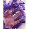 Conjunto de Lencería Sexy Morado Francés Transfronterizo Tentación Diversión con Bordados de Encaje Conjunto de Dos Piezas