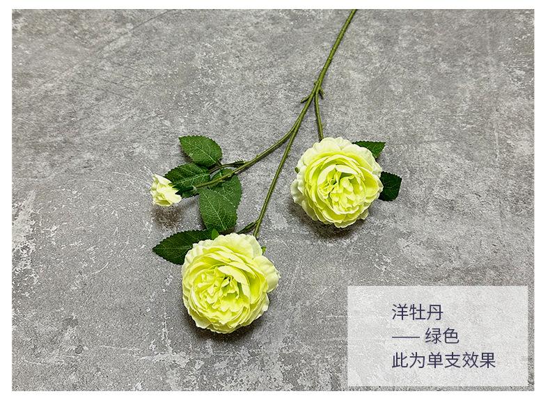 洋牡丹-绿色00.jpg