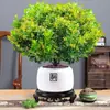 Planta Milan Flower Pote com Flores e Plantas Verdes Interior Antiga com Botões Florescendo em Todas as Estações e Fácil de Cultivar Mudas para Varanda