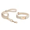 Directo de fábrica, en stock, juego de collar y correa de terciopelo para mascotas transfronterizo para perros y gatos pequeños y medianos, personalizable con logo