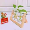 Marco de Madera Creativo Florero de Vidra para Plantas Hidropónicas Botella de Vidrio Rosa Verde Estilo Ins Contenedor Pequeño Decoración del Hogar Adornos de Escritorio