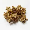 Eucalipto Frutas Douradas e Prateadas Vagens de Lótus Flores Secas DIY Fabricante de Yunnan Atacado