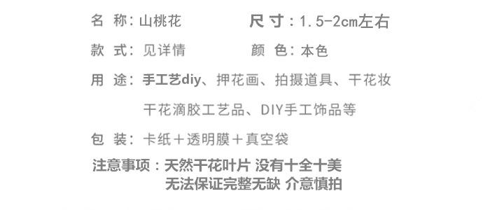 山桃花.png