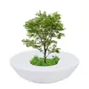 Bancos de Árvore Irregulares Personalizados em Fibra de Vidro para Jardins Externos, Propriedades Imobiliárias e Shoppings; Cercas de Árvores, Áreas de Assento e Canteiros de Flores do Fabricante Original