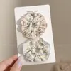 2026 Novo Elástico de Cabelo de Alta Elasticidade com Acabamento em Cetim, Toque de Luxo, Argola de Cabelo Dopamina de Verão para Mulheres, Elástico Fofo para Crianças