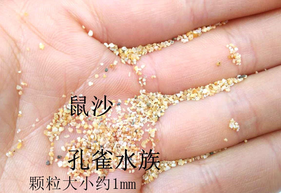 微信图片_20170405155306