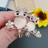 Venta Directa de Fábrica de Joyería Taobao Más Vendido Broche Broche Moda Corsage Broche de Diamante de Aleación para Mujer
