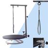 Pet Beauty Desk Cat Auxiliar Disco Rotativo Lavagem Cachorro Pelo Soprando Casa Gato Teddy Tosquia Roda Redonda Cross Border