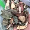 Venta al por mayor y Dropshipping de Productos Herbales como Rizoma de Polygonum Multiflorum, Rizoma de Polygonum Multiflorum y Rizoma de Polygonum Multiflorum