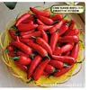 Venta al por Mayor de Espuma Modelo de Fruta Pequeña Set de Verduras Pequeñas Fruta Falsa Decoración Atrezzo Fruta Mini Simulada