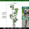 Planta verde artificial de lujo de alta gama, madera de pie de pato biónica, planta falsa grande de maceta de pie para sala de estar interior junto al sofá