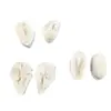 Vários Tipos de Moldes de Pétala de Tulipa Feitos de Silicone de Grau Alimentício para Argila Fondant DIY Moldes de Flores de Tulipa Artesanais