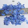 Fragmentos de concha Fragmentos brilhantes de madrepérola Glitter para nail art Adesivos para celular DIY Acessórios para joias DIY