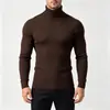 Otoño Invierno Nuevo Suéter de Punto Trenzado Ajustado de Cuello Alto para Hombre Moda Juvenil Casual Capa Base
