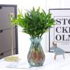Bambu Repelente de Mosquitos Hidropônico, Bambu Rico, Mudas de Plantas Cultivadas em Água, Plantas Verdes de Mesa para Sala de Estar Interna, Flores em Vaso e Bonsai