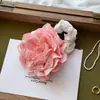 Corea del Sur Caro Mismo Estilo Rosa Anillo para el Pelo de Intestino Grande Mujeres Sensación de Alta Gama Marubeni Cabeza 2025 Nuevo Accesorios para el Pelo de la Parte Trasera de la Cabeza Tocado