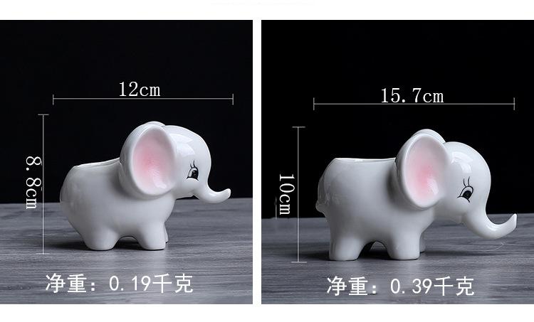 象5