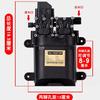 Bomba de agua pulverizadora eléctrica inteligente 12V bomba de pulverización parada de pistola lavado de autos riego huerto vivero pulverización doble