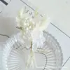 Ramo Mini de Flores Secas Transfronterizo de 12 cm, Flores Reales, Rosas, Gypsophila, Regalo, Ramillete, Decoración de Coche, Decoración Hecha a Mano