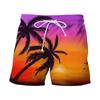 Pantalones Cortos de Playa Estilo Hawaiano para Hombre, Estampado Digital 3D, Europeos y Americanos, Transfronterizos, para Verano 2024, Juventud, Viajes