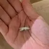 Anillo abierto de metal con lazo para mujer, diseño de nicho, anillo de dedo con personalidad de moda, nueva moda 2022
