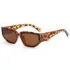 2025 Nuevo Retro Americano Marco Pequeño Ojo de Gato Estilo Ins Vestimenta de Verano para Viajes Mismo Estilo que Influencers Gafas de Sol