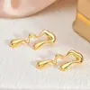 Brincos Hidráulicos de Gota de Óleo Moda Tendência Personalidade Transfronteiriça Ouro 18K Aço Inoxidável Não Desbota Brincos Minimalistas de Alto Padrão