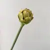 Venda Direta de Fábrica Plantas Suculentas Simuladas Alcachofra Coreana Cabeça de Abacaxi Janela Decoração de Casa Nórdica Ornamentos