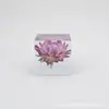 Regalo de Cumpleaños para Amiga o Novio, Temporada de Graduación Crisantemo Planta Especimen Adorno de Resina Modelo, Flor Eterna de Resina