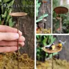 Arco de Ferro Estilo Vintage para Jardim, Inserções, Etiquetas e Placas Florais para Marcadores de Plantas, Decorações de Jardim e Enfeites para Vasos de Suculentas