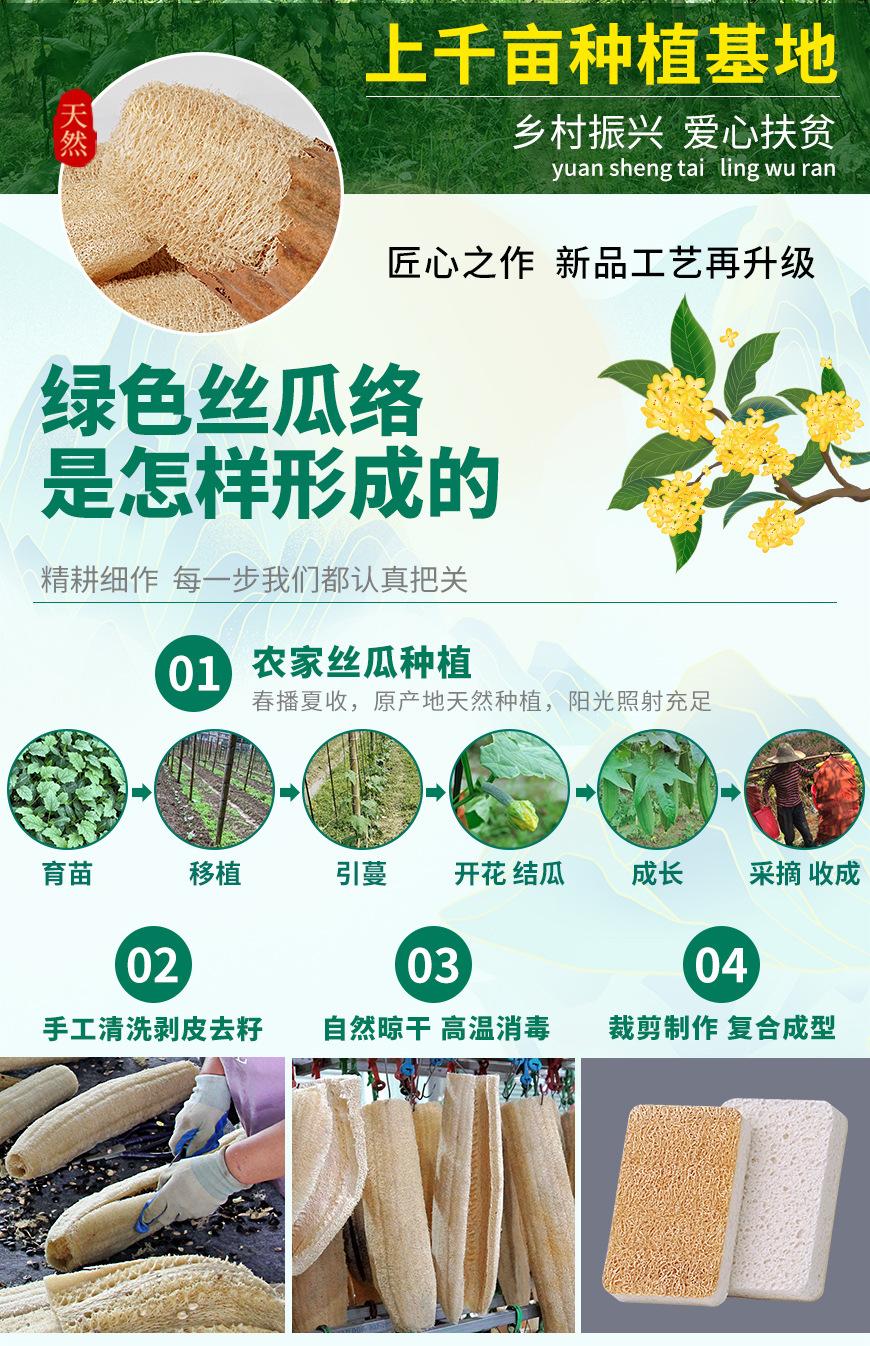 丝瓜基地_02木浆棉小圆角.jpg