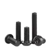Parafusos para Máquina de Cabeça Chata Coluna M3M4M5M6M8 de Aço Inoxidável 304 Pretos Parafusos Antifurto Tipo Flor de Ameixa Preta com Agulhas