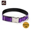 Fabricantes de collares para mascotas de Guangzhou hebilla de aleación de zinc cinta de nailon color sólido collar para mascotas fuera de entrenamiento