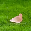 Paisaje de musgo en miniatura transfronterizo creativo pájaro paloma pequeño luminoso accesorios decorativos DIY mini adornos pequeños