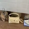 Bolsa Simples de Poá de Nicho Feminina 2026 Novo Estilo Moda Versátil Bolsa Transversal Exquisite Bolsa Tote Pequena de Mão Bolsa Croissant