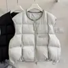 Ligero Versátil Chaleco Acolchado Nuevo de Algodón Sin Mangas 2026 Cuello Redondo Otoño Invierno Chaleco Cálido Mujer Ropa de Abrigo para Mujer Holgado