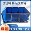 Tanque de Agua Patio Plástico Transparente Acero Inoxidable Acuario Plegable Koi Estanque Temporal para Peces Piscicultura Lona Estanque para Peces Soporte