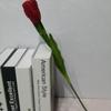 Tulipa Flor Artificial Única Tulipa Decoração de Casa Decoração de Hotel Flor de Seda Cabeça Única Tulipa Flor Pastoral