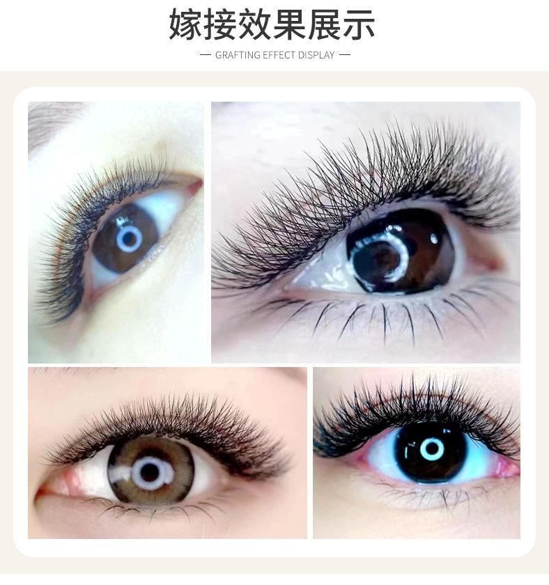 三叶草组合详情_10.jpg