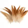 80 Tipos de Penas Naturais de Faisão, Penas Reais, Decorações Nativas Americanas, Acessórios DIY, Acessórios de Cabelo, Peças para Brinquedo de Vara para Gato