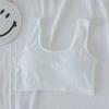 Ropa interior de seda de hielo para mujer, verano, fina, estudiante de secundaria, chica de preparatoria, período de desarrollo, adelgazante de busto, sujetador deportivo pequeño estilo chaleco