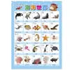 Educación temprana para niños gráfico de pared silencioso gráfico de pared fonético pinyin lectura imagen alfabetización calcomanías de pared para educación temprana tabla inicial de vocales madre fabricantes