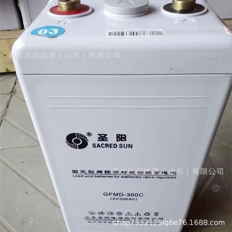 圣阳2V300AH.webp.jpg