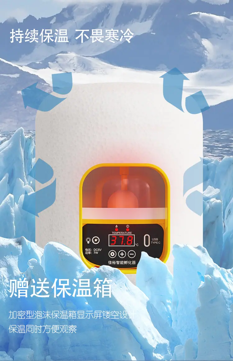 画板 11.png
