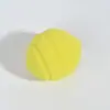 Mini Tarro de Miel Personalizado de Fábrica Esponja de Maquillaje Se Expande al Mojarse Esponja de Maquillaje Suave Esponja para Maquillaje de Base Venta al por Mayor