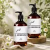 Shampoo e Gel de Banho Chá Branco Hotel Estrela Pousada B&B Conjunto Especial para Banho Frasco Grande 500ml Atacado