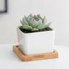 Jikai Simple Blanco Creativo Maceta de Flor Carnosa Comercio Exterior Transfronterizo Cuadrado Escritorio zakka Soporte para Macetas de Bambú